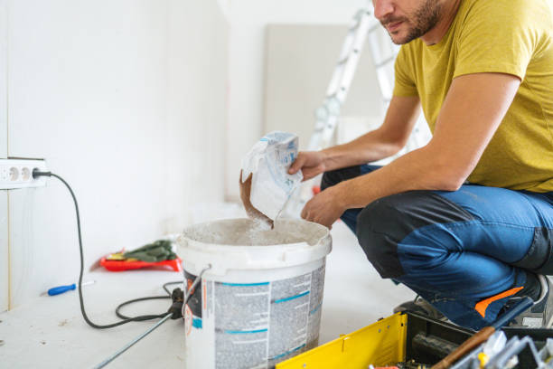Reliable Philo, IL Mold Removal Solutions