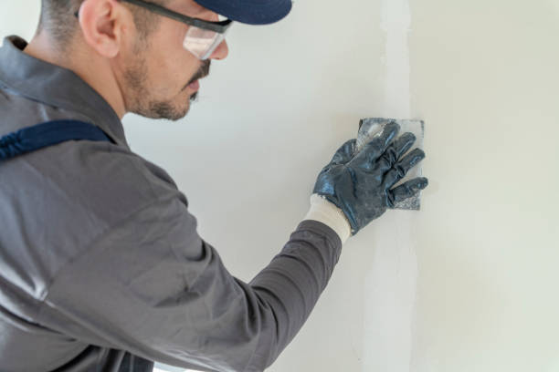 Best Attic Mold Removal  in Pho, IL
