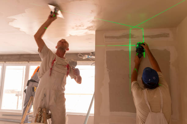 Mold Remediation for Vacation Homes in Philo, IL