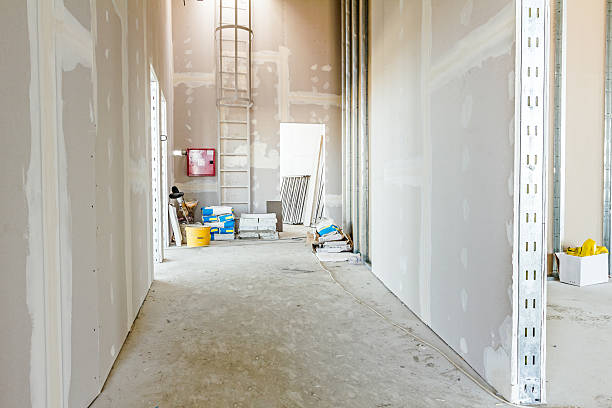 Best Mold Documentation for Insurance Claims  in Pho, IL